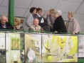 /album/galleria-foto-galleria-eventi/cimg3998-jpg2/